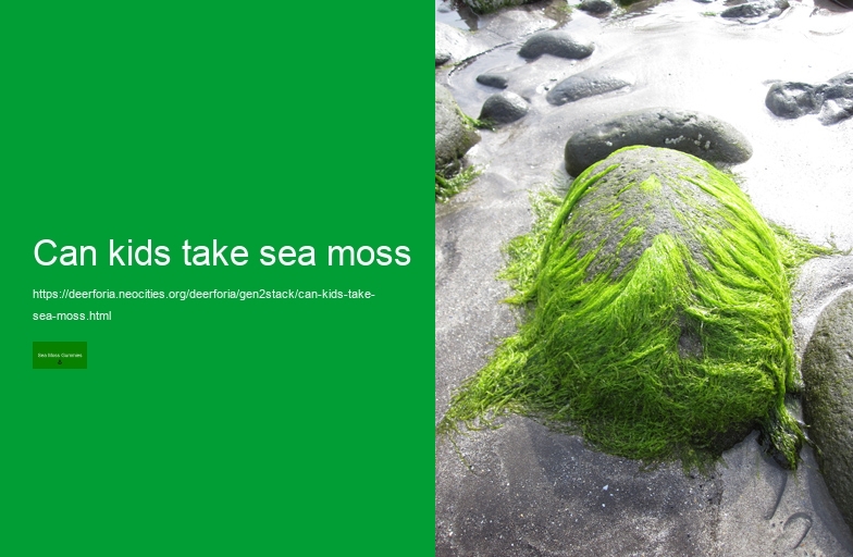 sea moss benefits for smokers